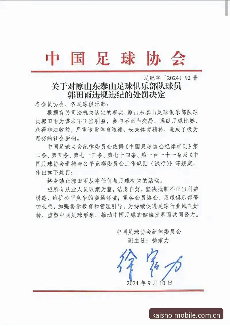 开元体育电脑版 足协第三批禁足名单深度分析:65人受罚背后的中国足球反腐风暴